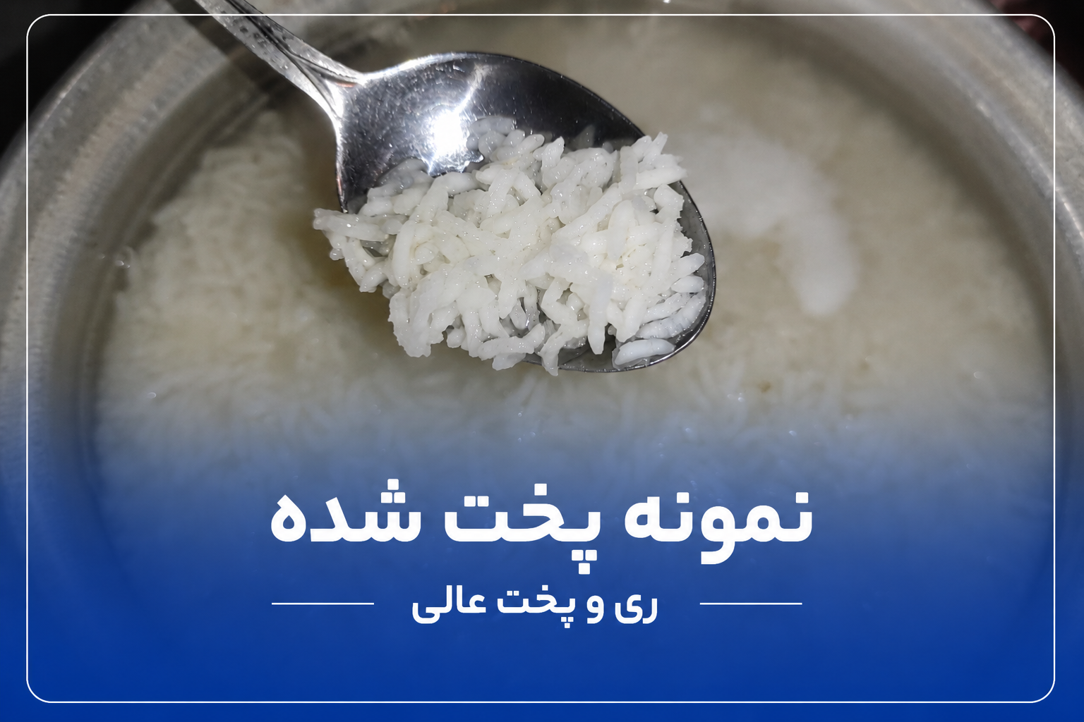 1781030415447 طارم کشت دوم بدون سورت و الک - تصویر 1