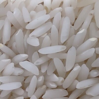 برنج طارم کشت دوم